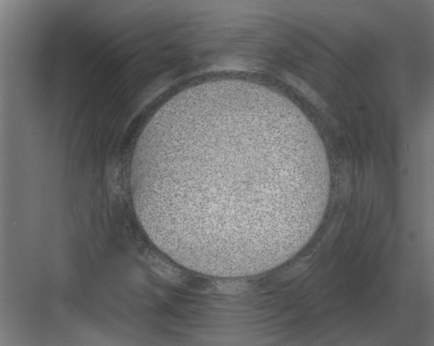 X0000082161258200702092208