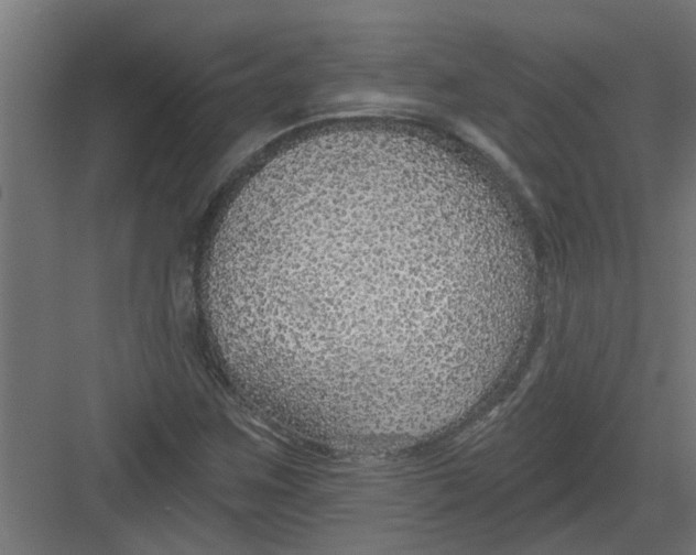 X0000082161259200702092208