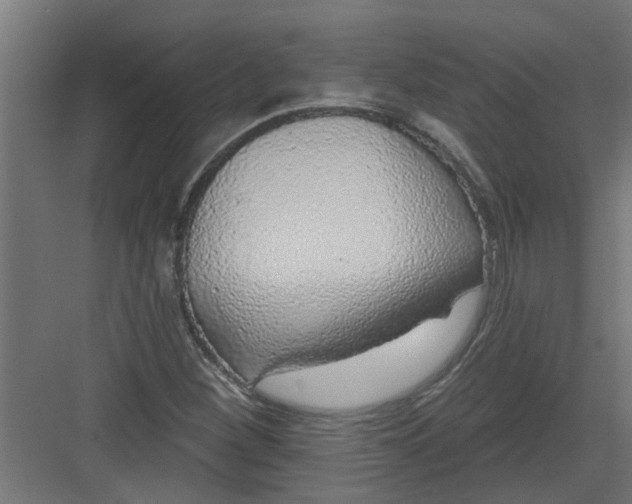 X0000082161260200702092208