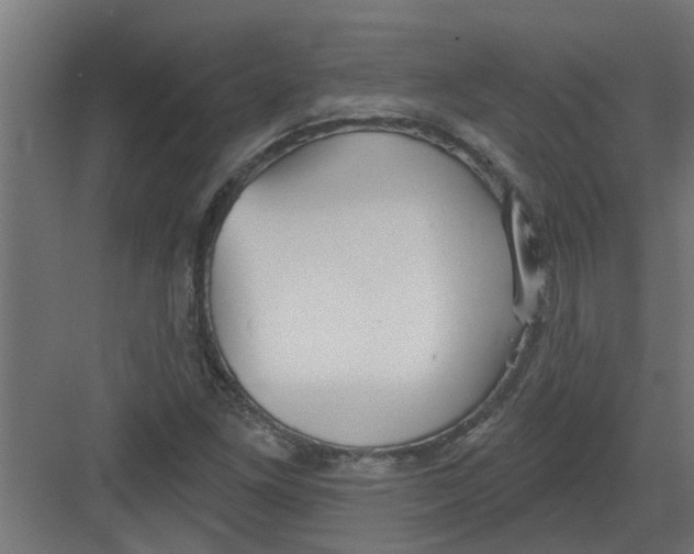 X0000082161261200702092208