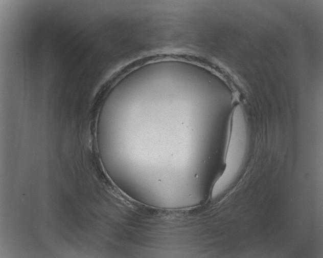 X0000082161262200702092208