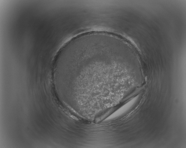 X0000082161263200702092208