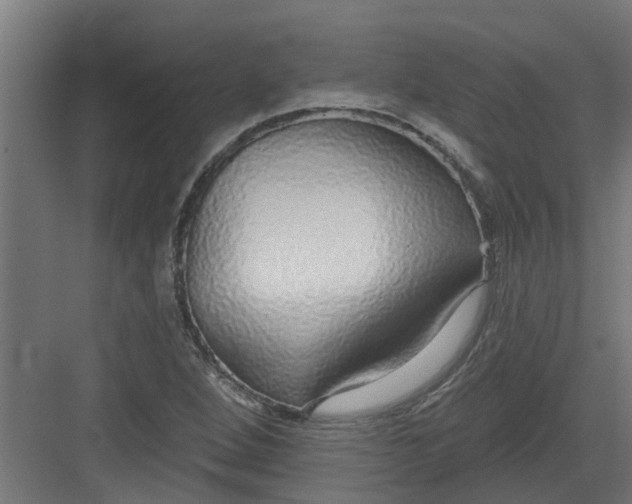 X0000082161264200702092208