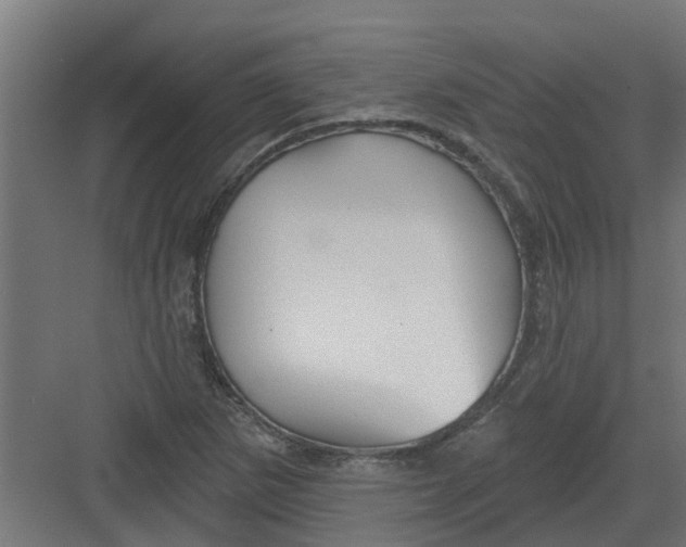 X0000082161265200702092208