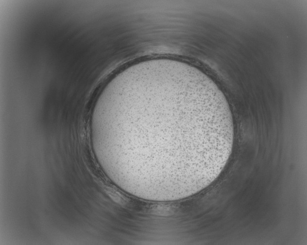 X0000082161266200702092208