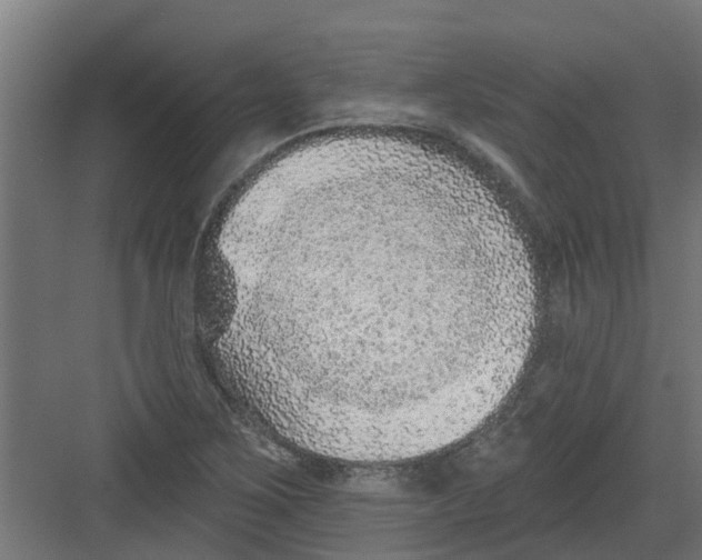 X0000082161267200702092208