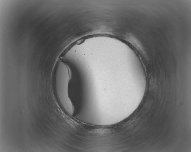 X0000082161268200702092208