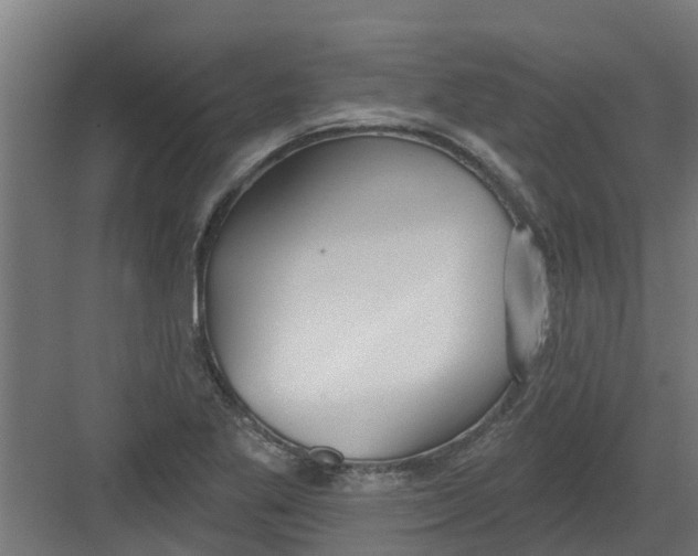 X0000082161269200702092208