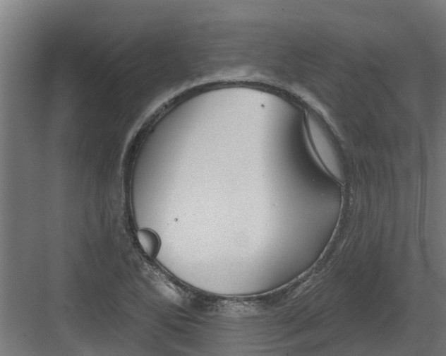 X0000082161270200702092208