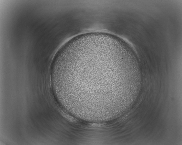 X0000082161271200702092208