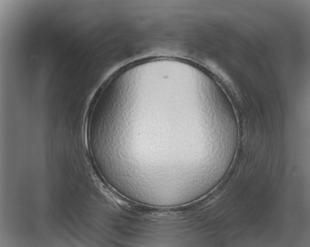 X0000082161272200702092208