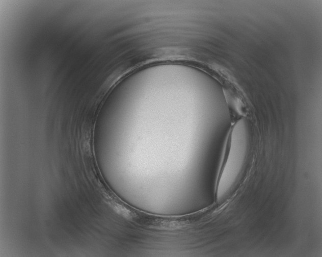 X0000082161273200702092208