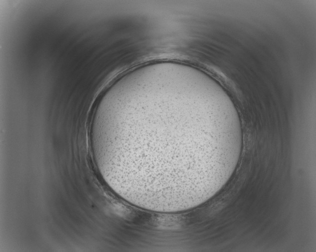 X0000082161274200702092208