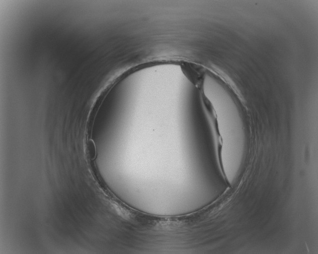 X0000082161277200702092208