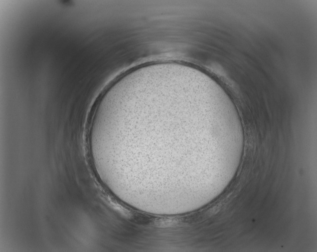 X0000082161278200702092208