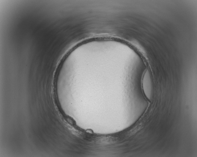 X0000082161279200702092208