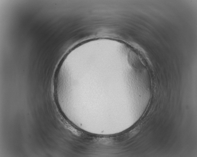 X0000082161280200702092208