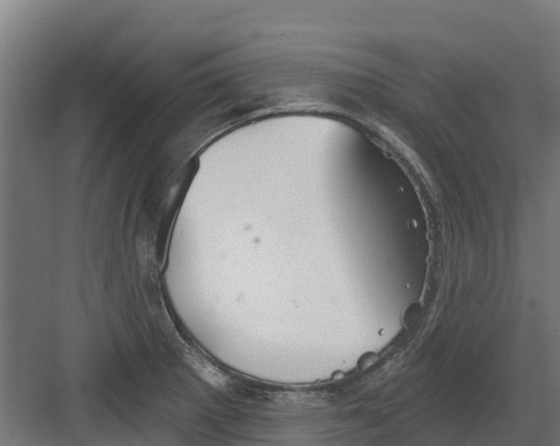 X0000082161281200702092208