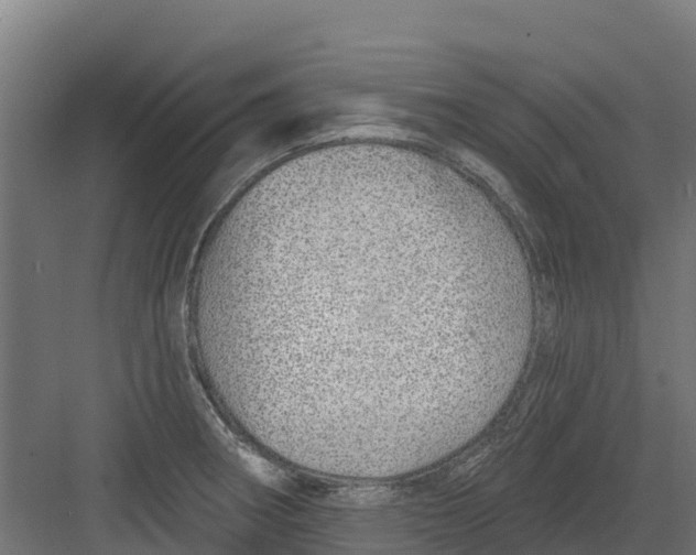 X0000082161282200702092208