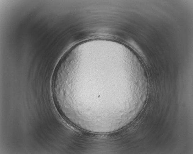 X0000082161283200702092208