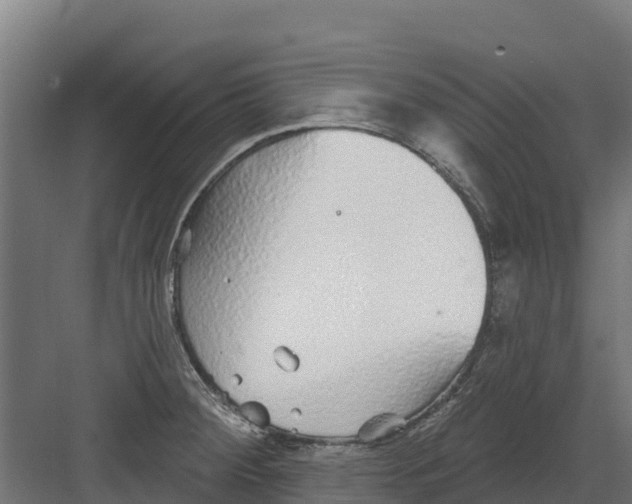 X0000082161284200702092208