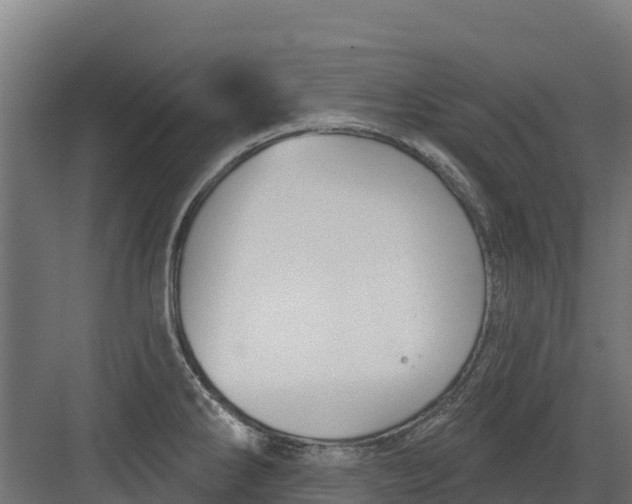 X0000082161286200702092208