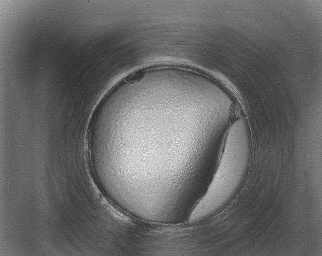 X0000082161287200702092208