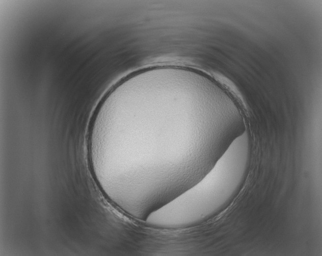 X0000082161288200702092208