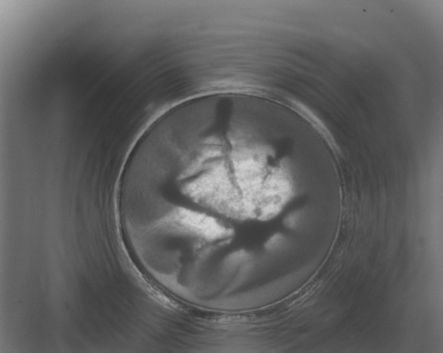 X0000082161291200702092208