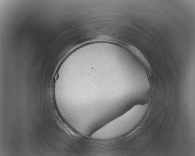 X0000082161292200702092208