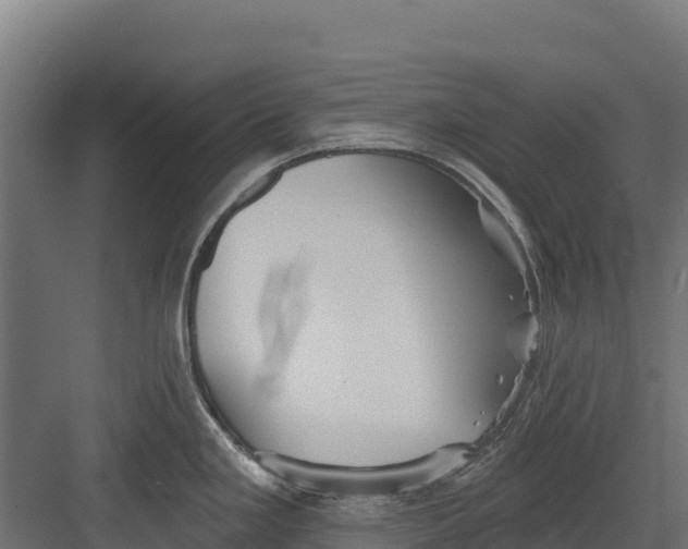 X0000082161293200702092208