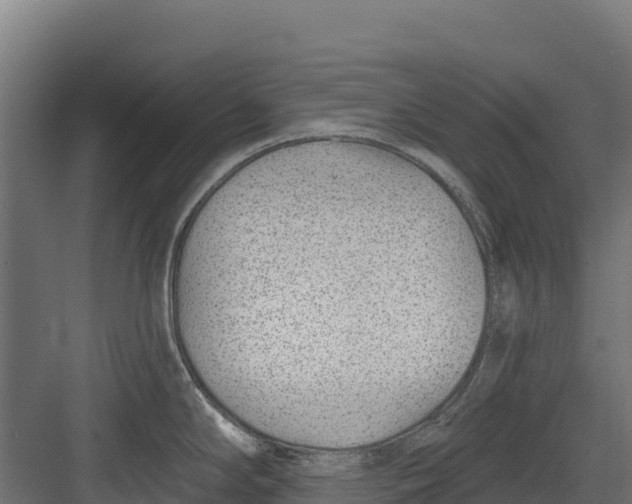 X0000082161294200702092208