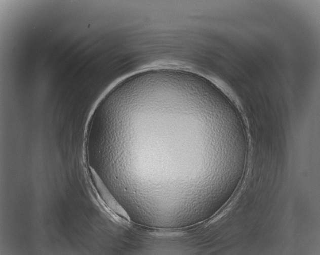 X0000082161296200702092208