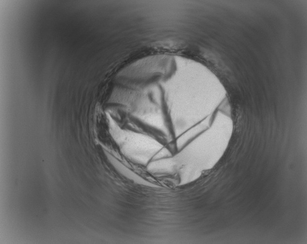 X0000082161297200702092207