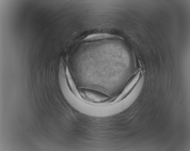 X0000082161298200702092207