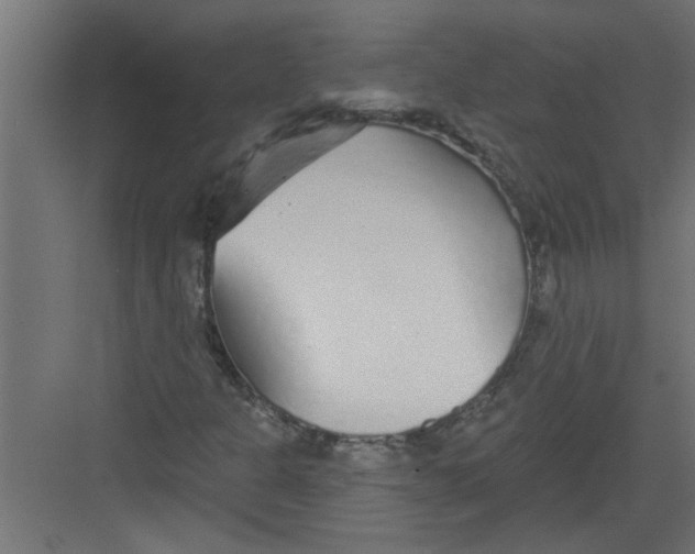 X0000082161301200702092207