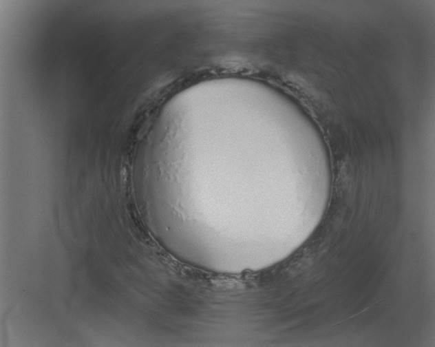 X0000082161302200702092207