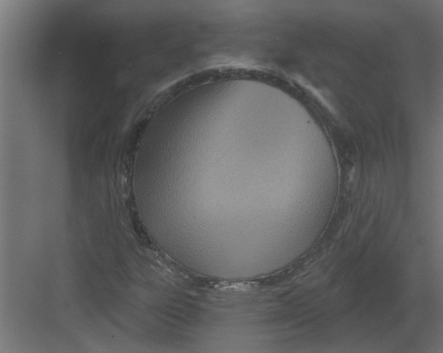 X0000082161303200702092207