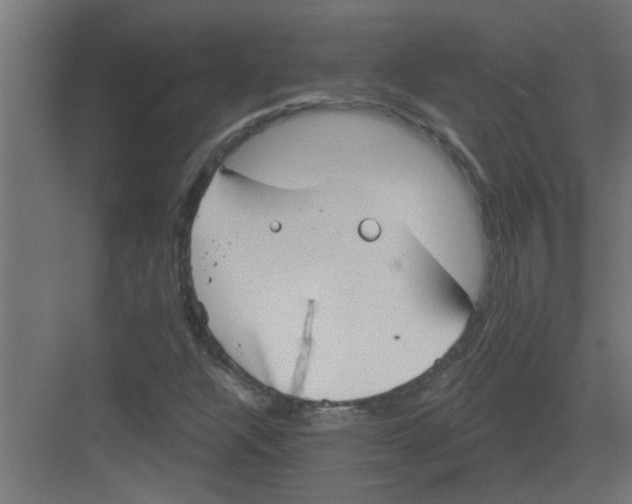 X0000082161304200702092207