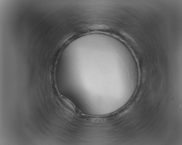 X0000082161305200702092207