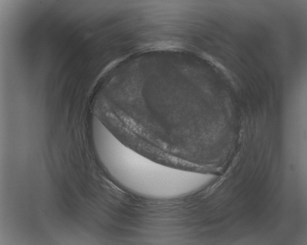 X0000082161306200702092207