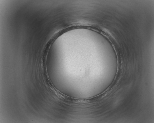 X0000082161307200702092207