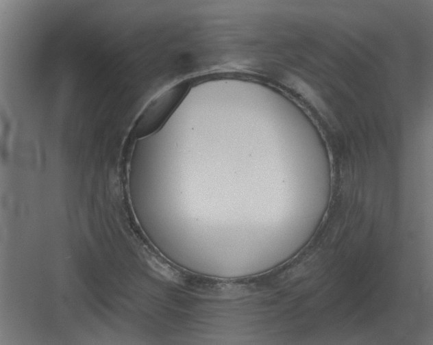 X0000082161308200702092207