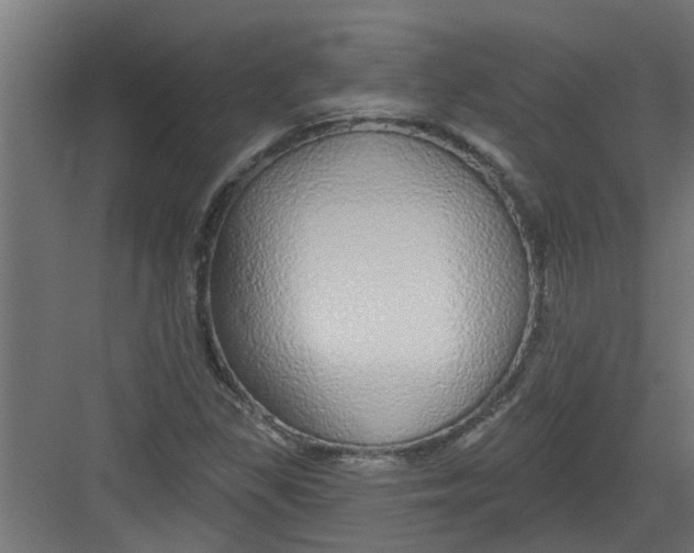 X0000082161309200702092207