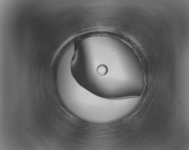 X0000082161310200702092207