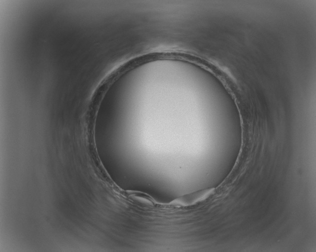 X0000082161311200702092207