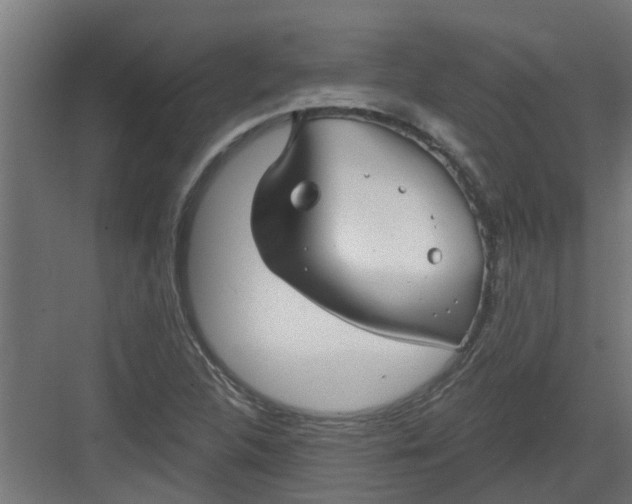 X0000082161312200702092207