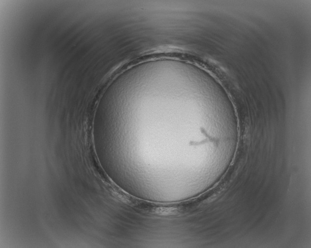 X0000082161313200702092207