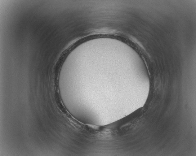 X0000082161315200702092207