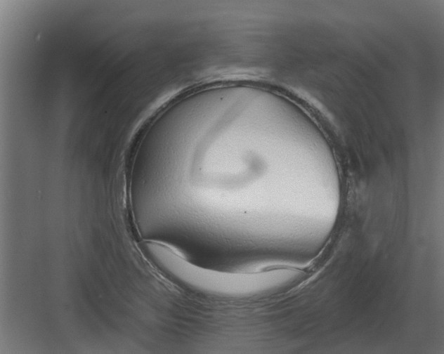 X0000082161317200702092207